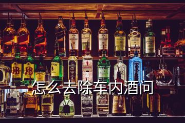 怎么去除车内酒问