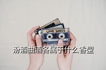 汾酒曲酒各属于什么香型