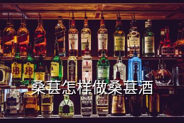 桑葚怎样做桑葚酒