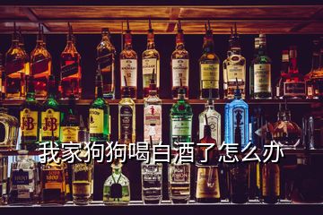 我家狗狗喝白酒了怎么办