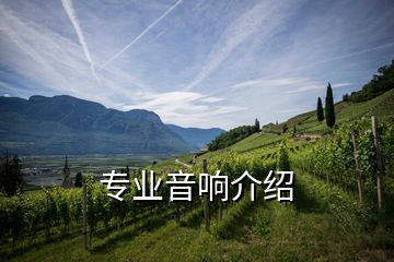 专业音响介绍