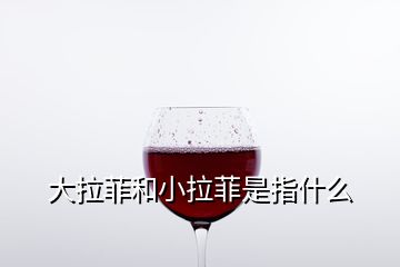 大拉菲和小拉菲是指什么