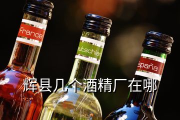 辉县几个酒精厂在哪