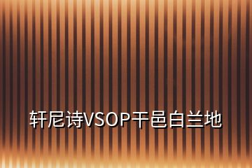 轩尼诗VSOP干邑白兰地