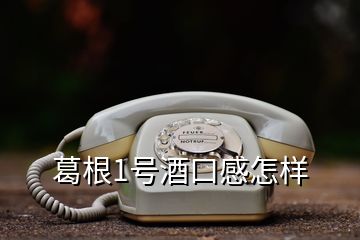 葛根1号酒口感怎样