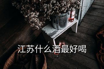 江苏什么酒最好喝