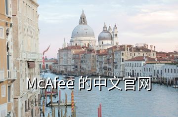 McAfee 的中文官网