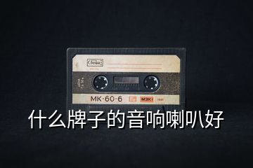 什么牌子的音响喇叭好