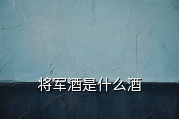 将军酒是什么酒