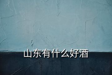 山东有什么好酒