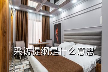 采访提纲是什么意思