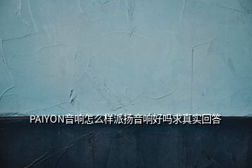 PAIYON音响怎么样派扬音响好吗求真实回答