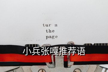 小兵张嘎推荐语