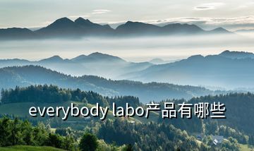 everybody labo产品有哪些