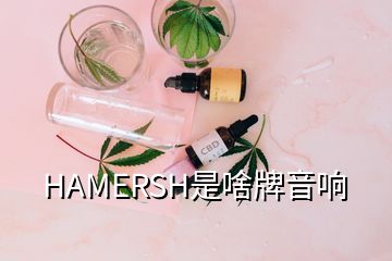 HAMERSH是啥牌音响