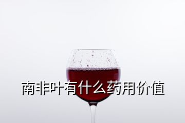 南非叶有什么药用价值