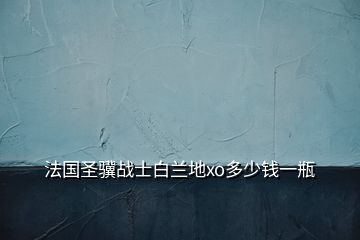 法国圣骥战士白兰地xo多少钱一瓶