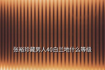 张裕珍藏男人40白兰地什么等级