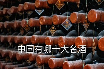 中国有哪十大名酒