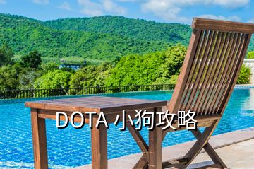 DOTA 小狗攻略