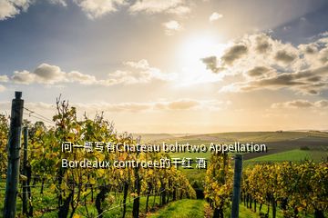 问一瓶写有Chateau bohrtwo Appellation Bordeaux controee的干红 酒