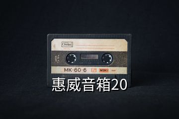 惠威音箱20