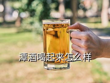 潭酒喝起来怎么样