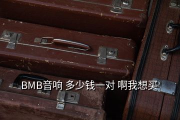 BMB音响 多少钱一对 啊我想买