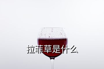 拉菲草是什么