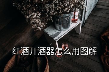 红酒开酒器怎么用图解