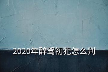 2020年醉驾初犯怎么判