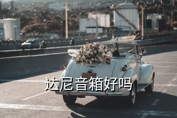 达尼音箱好吗