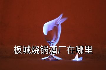 板城烧锅酒厂在哪里