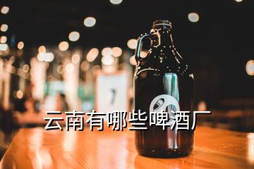 云南有哪些啤酒厂