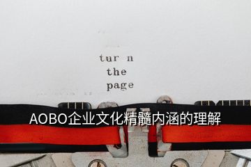 AOBO企业文化精髓内涵的理解