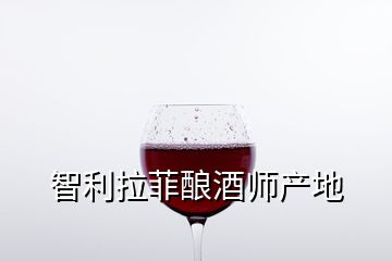 智利拉菲酿酒师产地