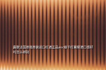 露歌法国原瓶原装进口红酒正品aoc级干红葡萄酒口感好吗怎么辨别