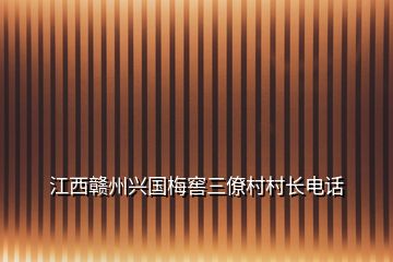 江西赣州兴国梅窖三僚村村长电话