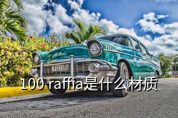 100 raffia是什么材质