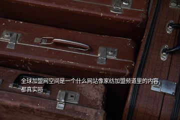 全球加盟网空间是一个什么网站像家纺加盟频道里的内容都真实吗