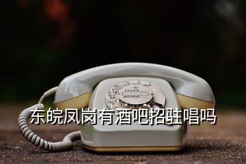 东皖凤岗有酒吧招驻唱吗