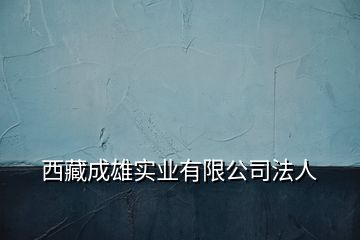 西藏成雄实业有限公司法人