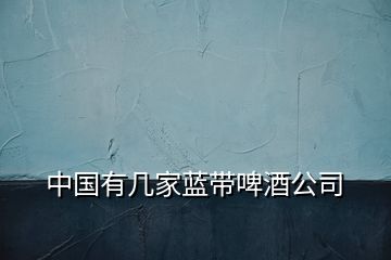 中国有几家蓝带啤酒公司