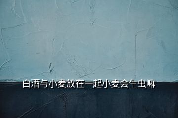 白酒与小麦放在一起小麦会生虫嘛