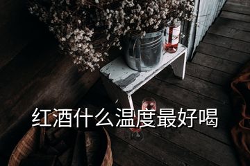 红酒什么温度最好喝