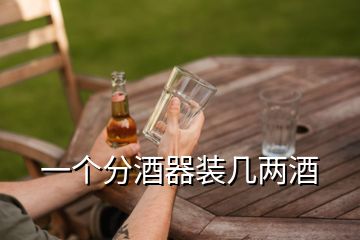 一个分酒器装几两酒