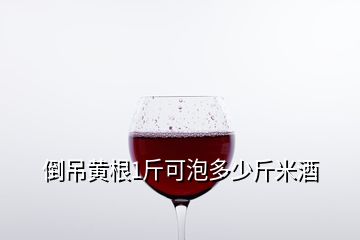 倒吊黄根1斤可泡多少斤米酒