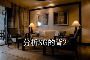 分析SG的背2