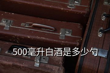 500毫升白酒是多少勺