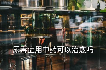 尿毒症用中药可以治愈吗